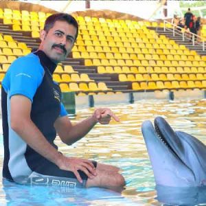 شنا با دلفین کیش