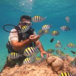 غواصی در کیش ساحل مرجانی