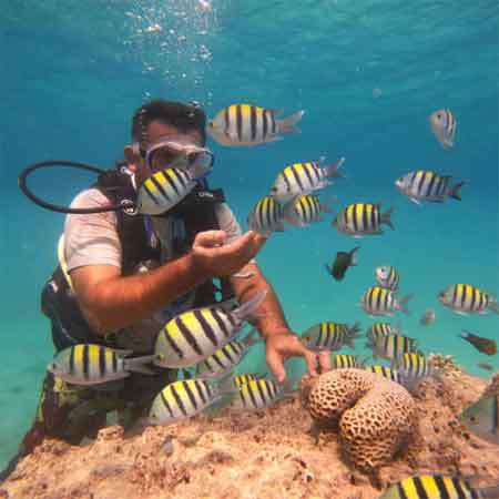 غواصی در کیش ساحل مرجانی