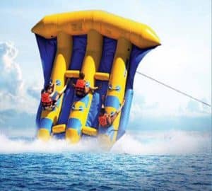 فلای فیش کیش