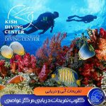 کلوپ مرکز غواصی کیش