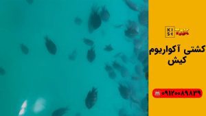 کشتی آکواریوم کیش