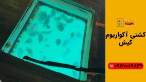 کشتی آکواریوم کیش