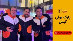 پارک برفی پنگوئن