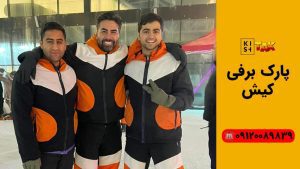 پارک برفی پنگوئن