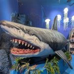اقیانوس پارک تهران 🌊 خرید بلیط آنلاین 🎟️