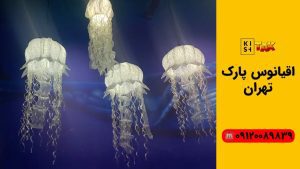 اقیانوس پارک تهران